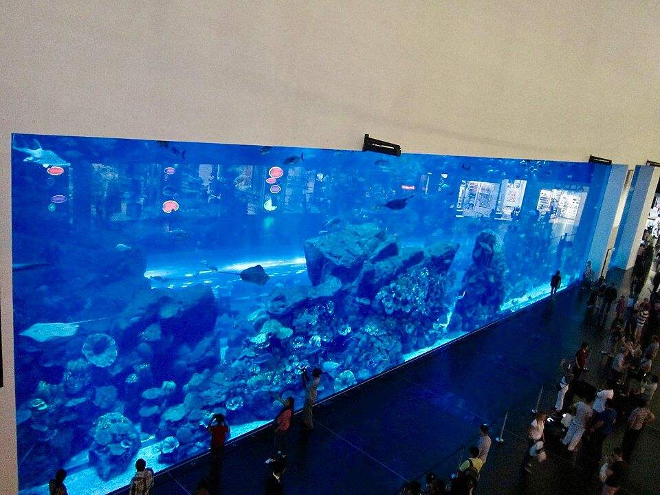 Dubai Aquarium & Underwater Zoo, Dubai