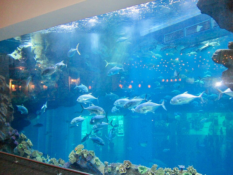Dubai Aquarium & Underwater Zoo – photo 2