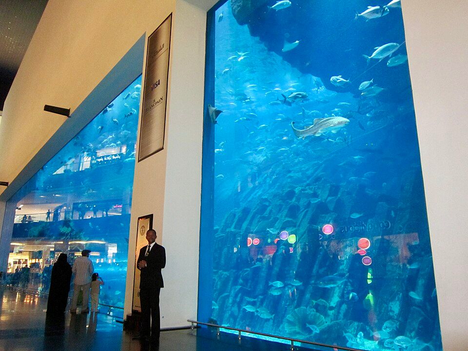 Dubai Aquarium & Underwater Zoo – photo 4