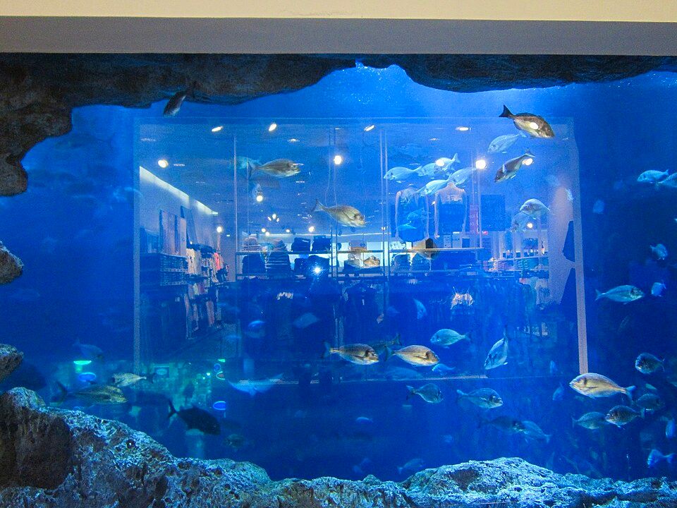Dubai Aquarium & Underwater Zoo – photo 5