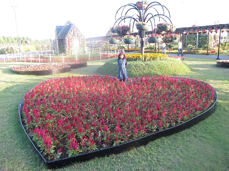 Dubai Miracle Garden – photo 2