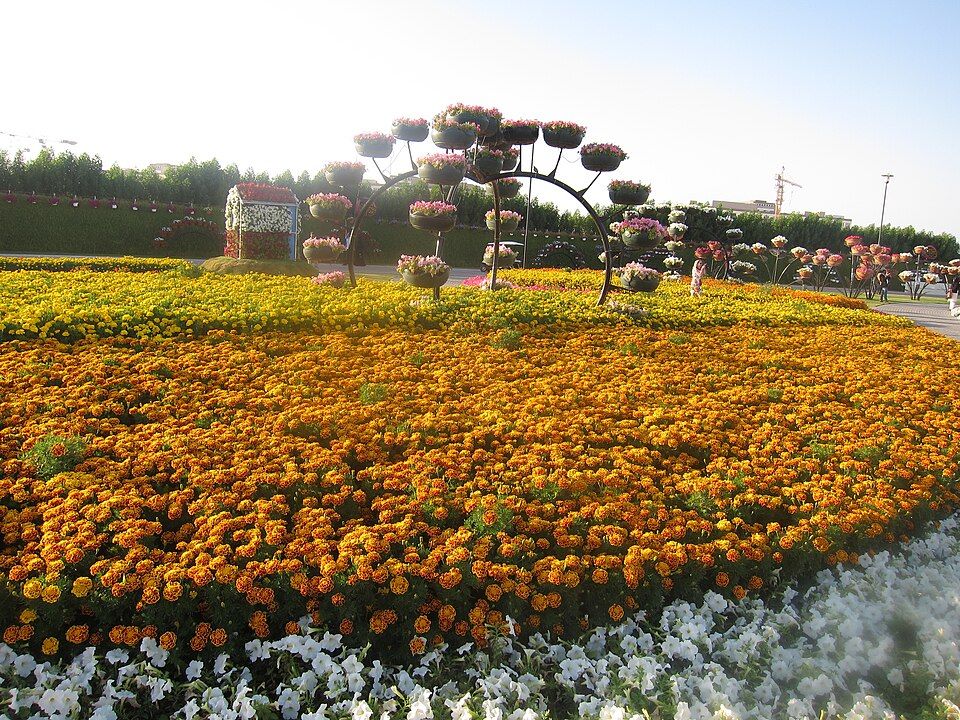 Dubai Miracle Garden – photo 5
